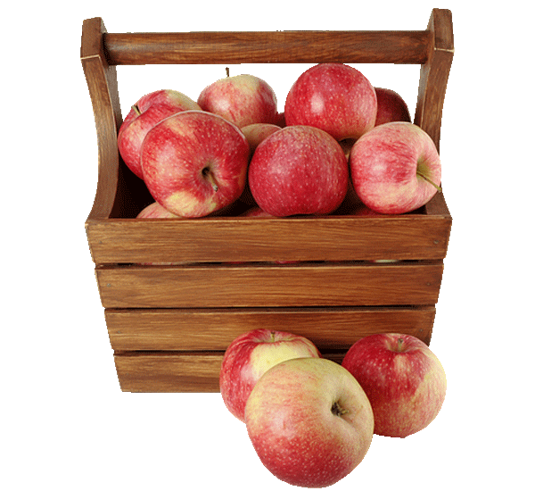 Fresh Exotic Fruits