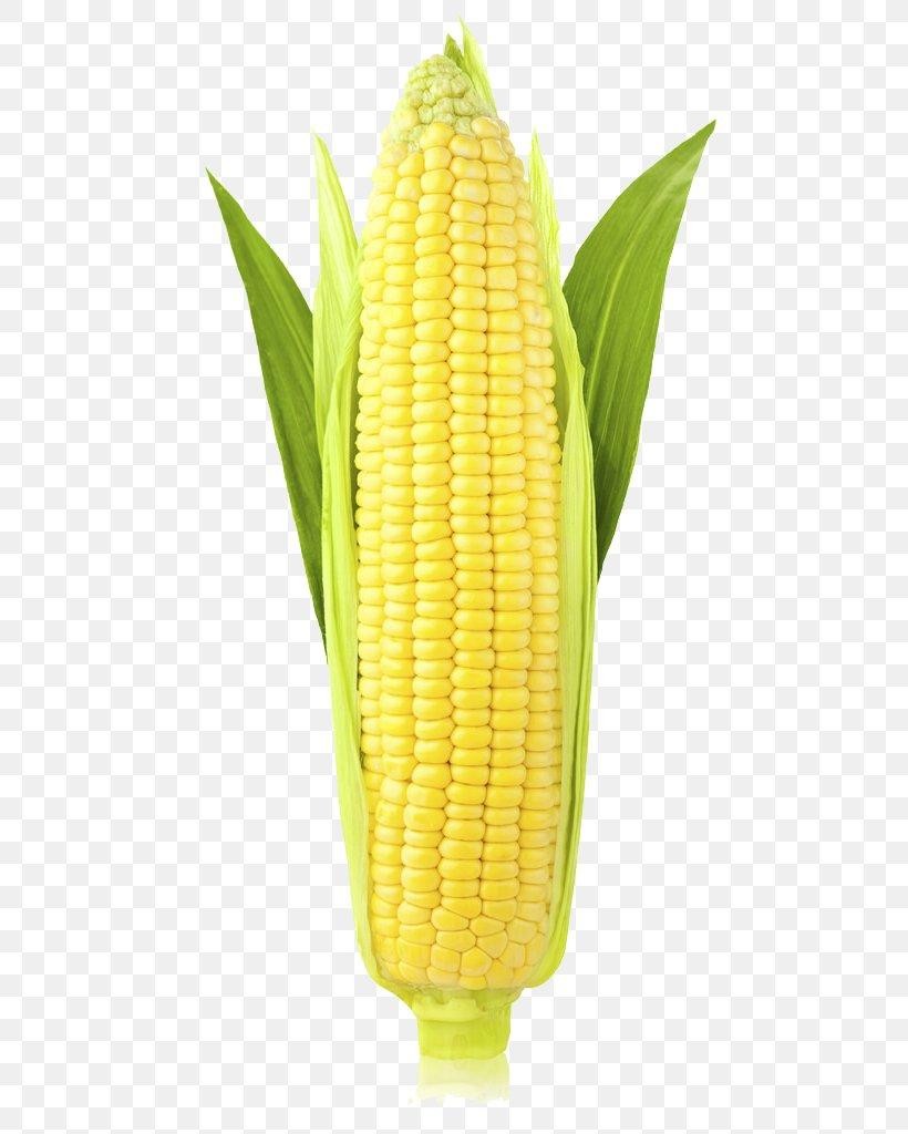 Organic Sweet Corn