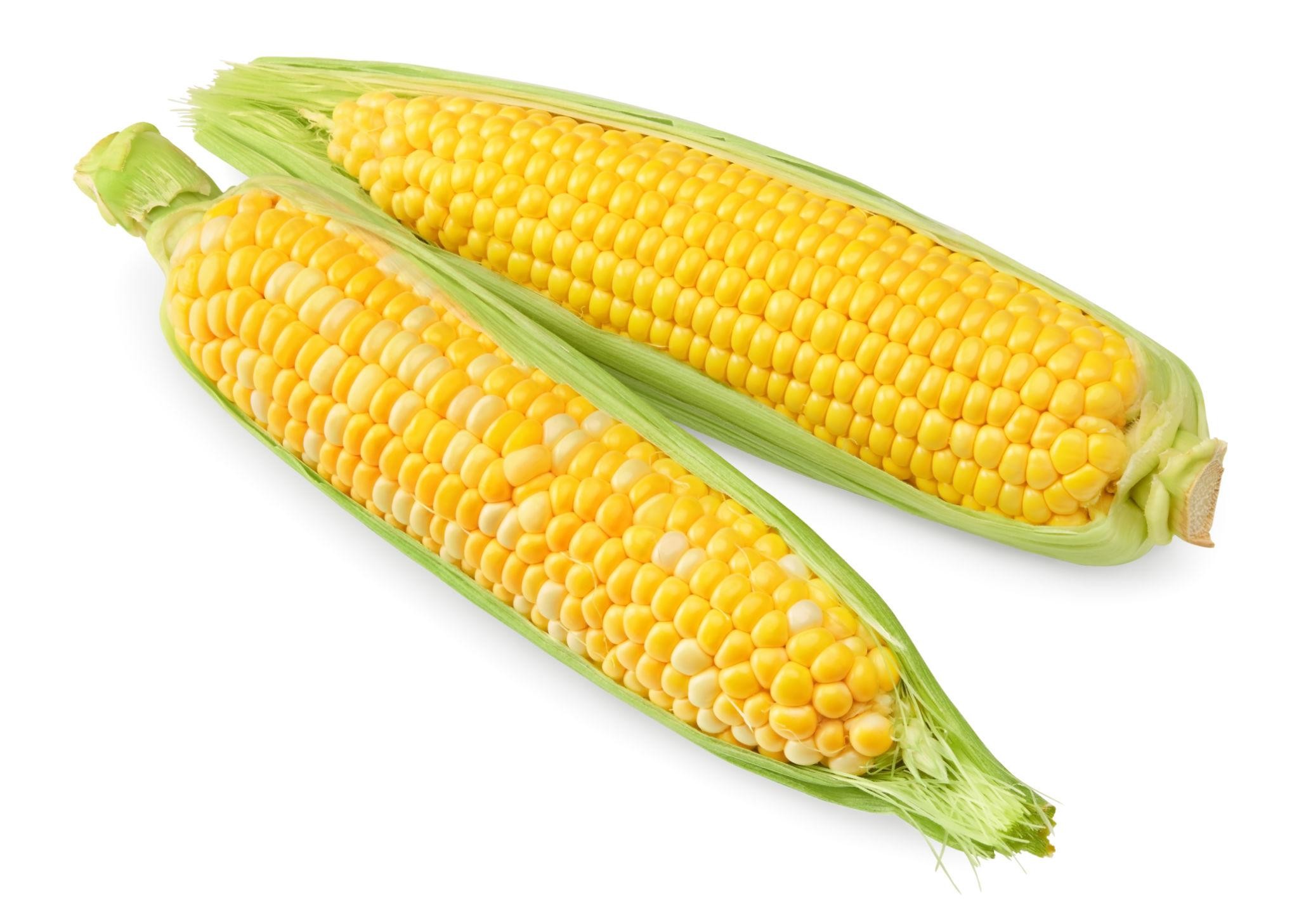 Fresh Sweet Corn - 2pcs