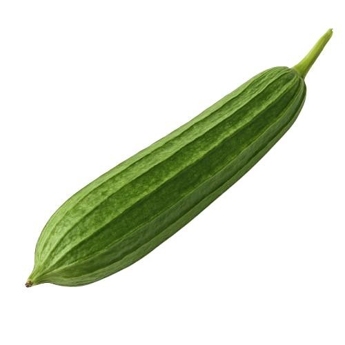 Organic Ridge Gourd