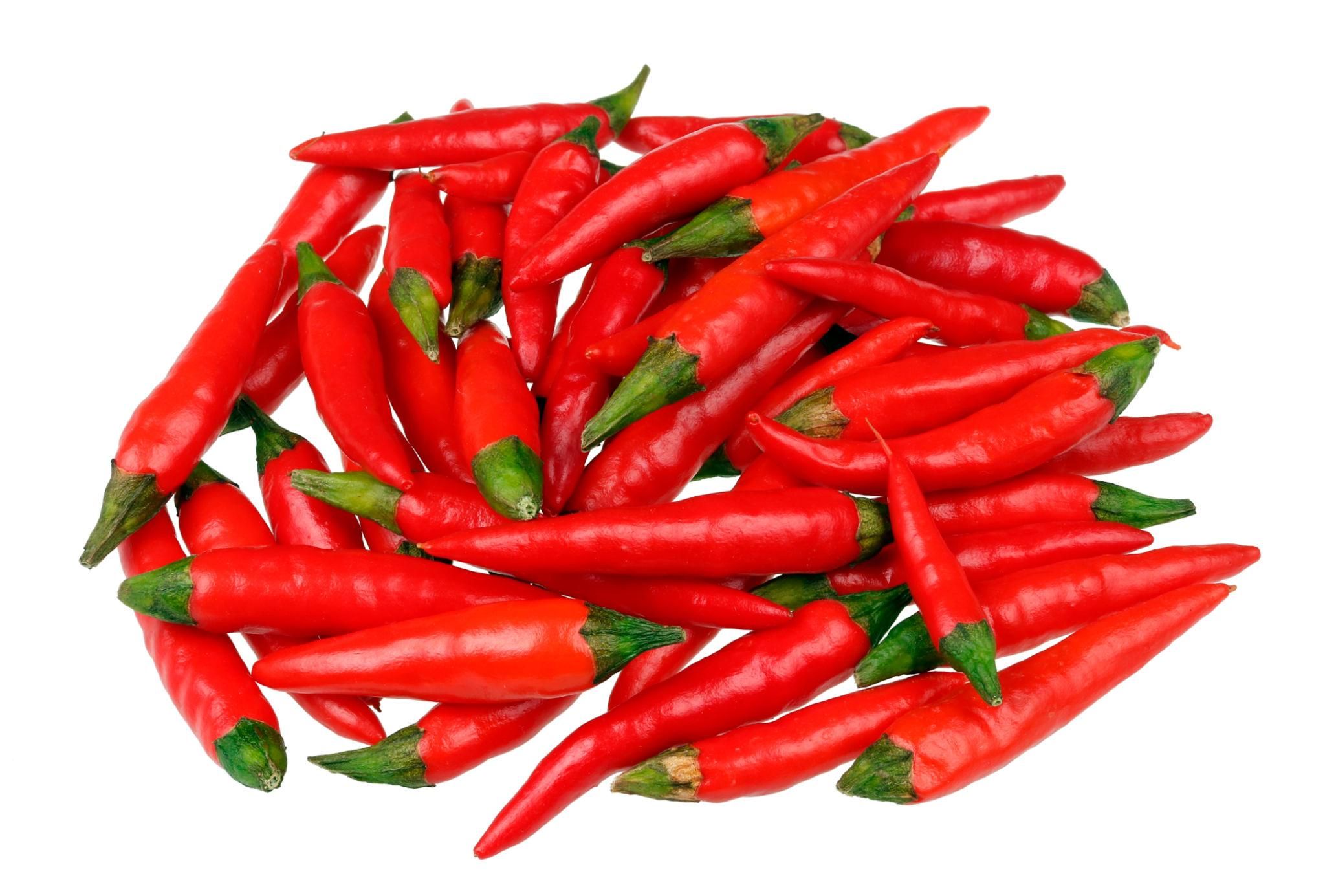 Bird Eye Chili