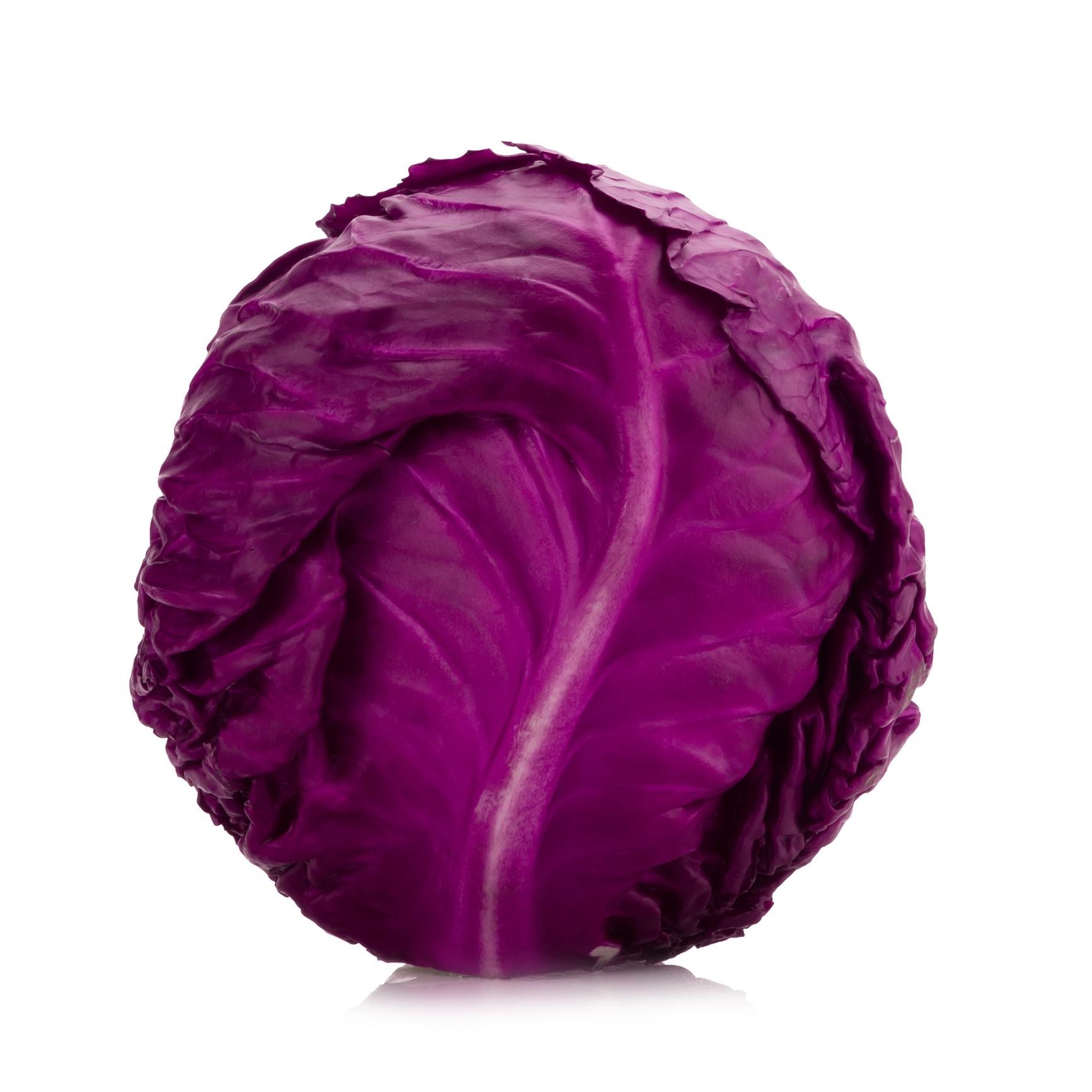 Purple Cabbage