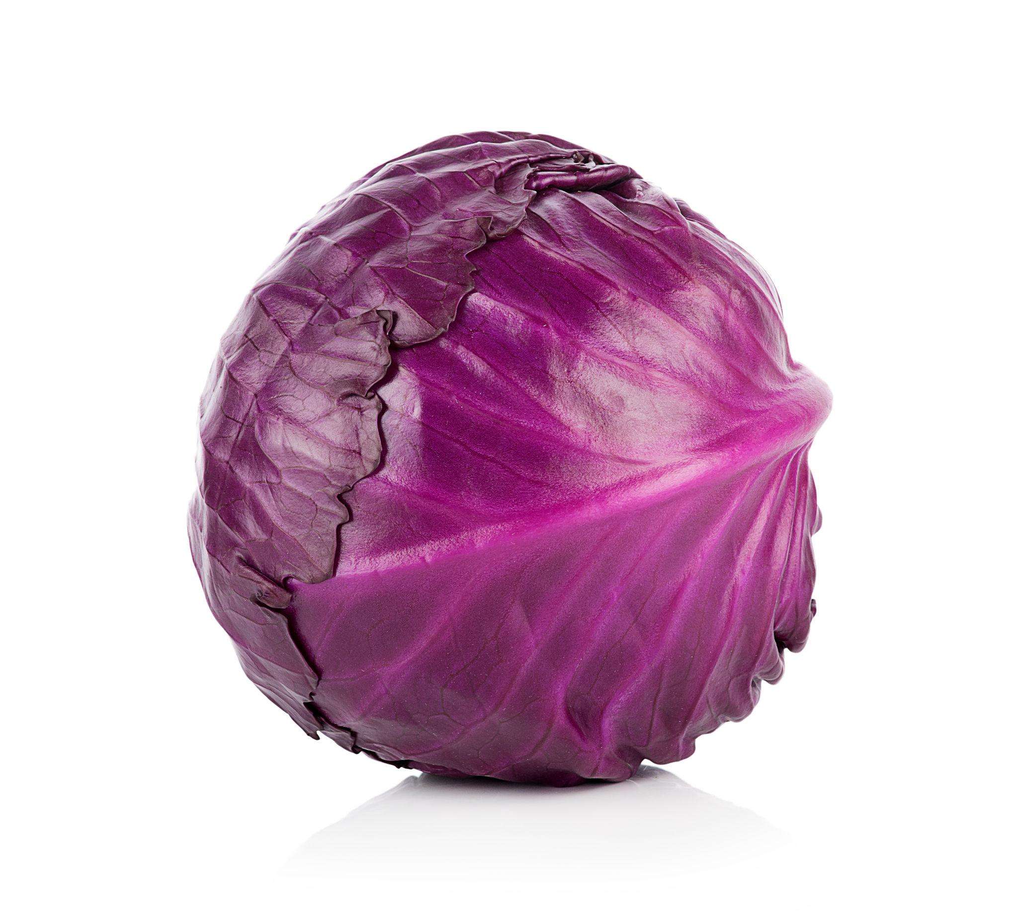 Purple Cabbage