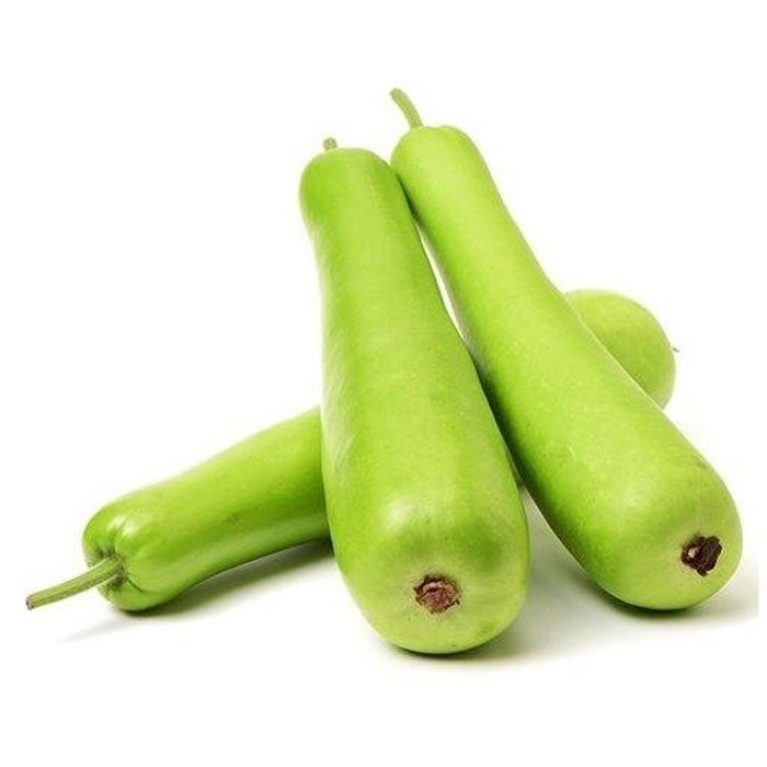 Bottle Gourd - Premium