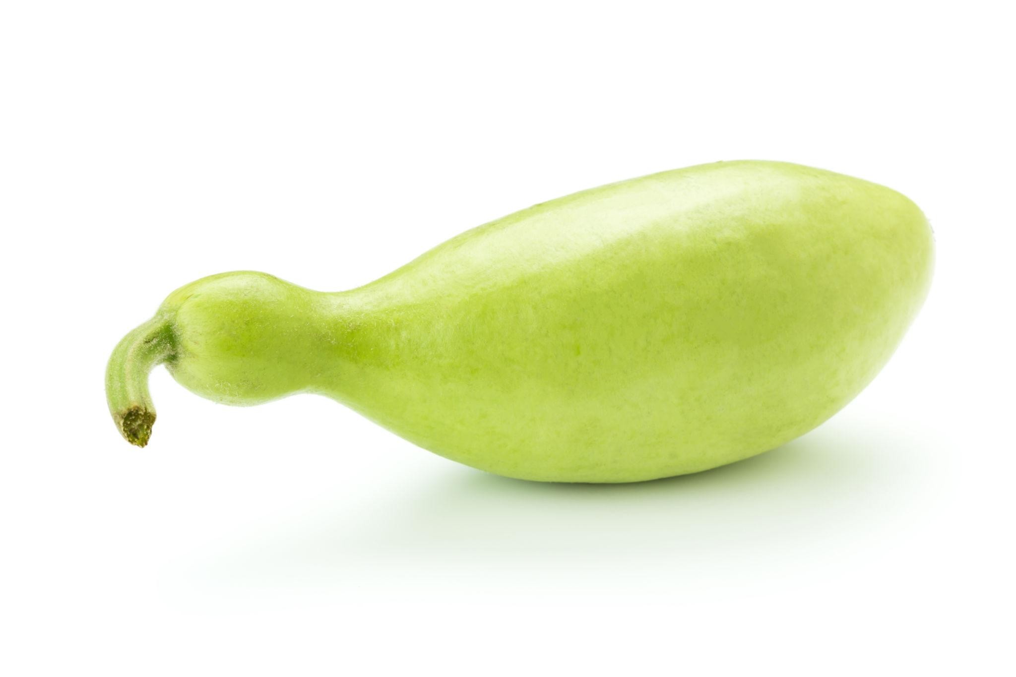 Baby Bottle Gourd