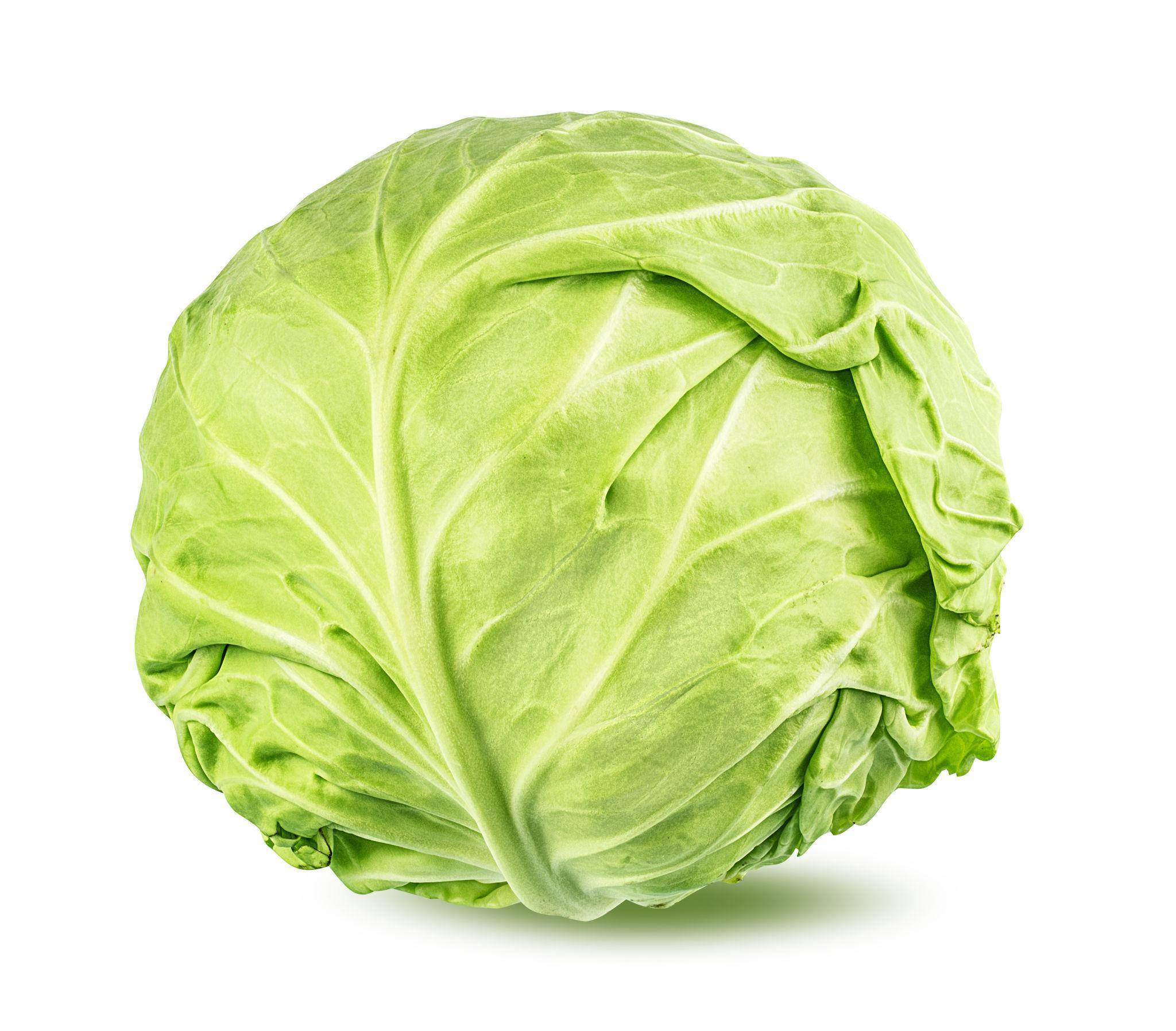 Cabbage F1 Hybrid – NBH-Arun