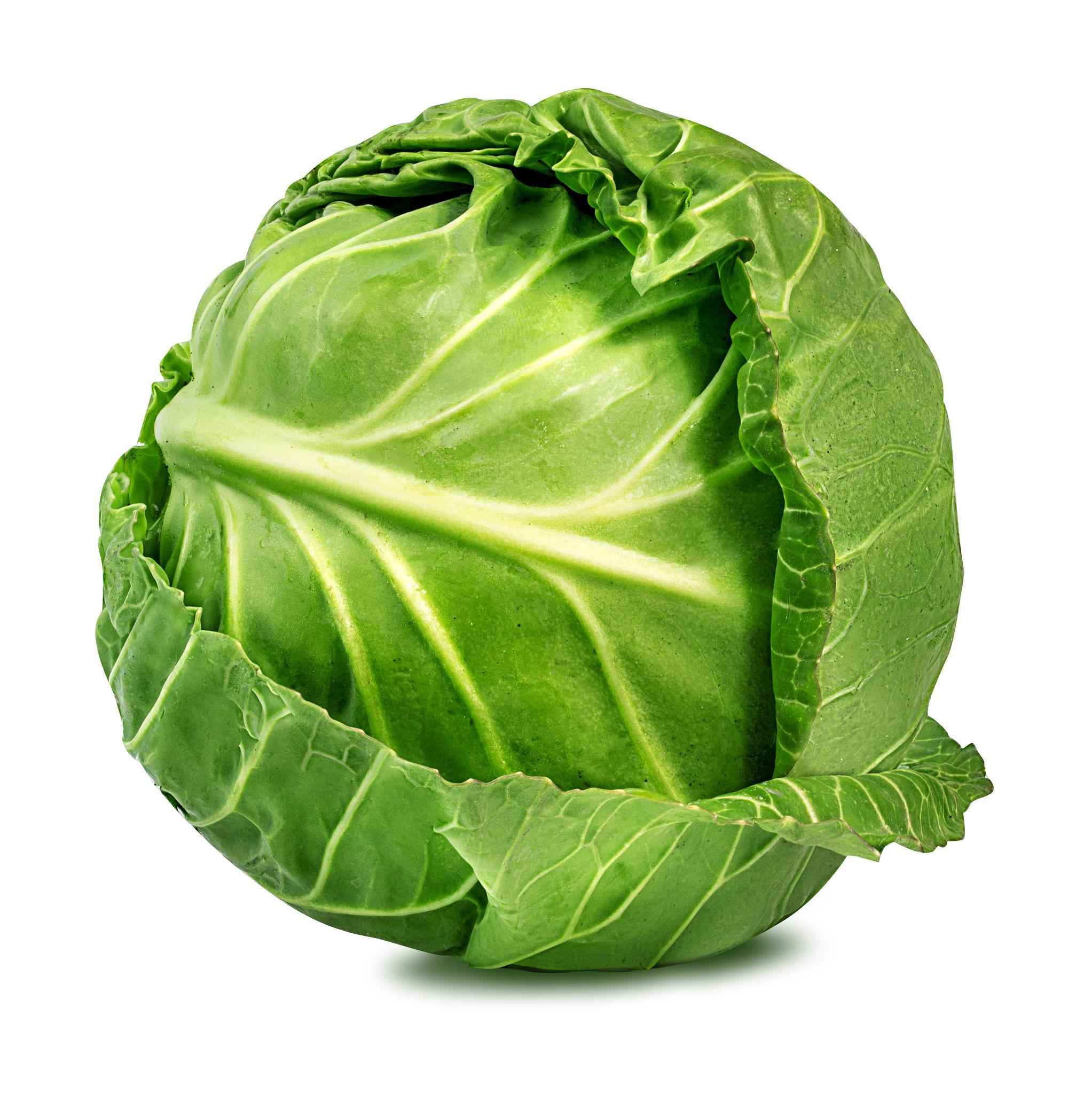 Cabbage F1 Hybrid – NBH-Arun