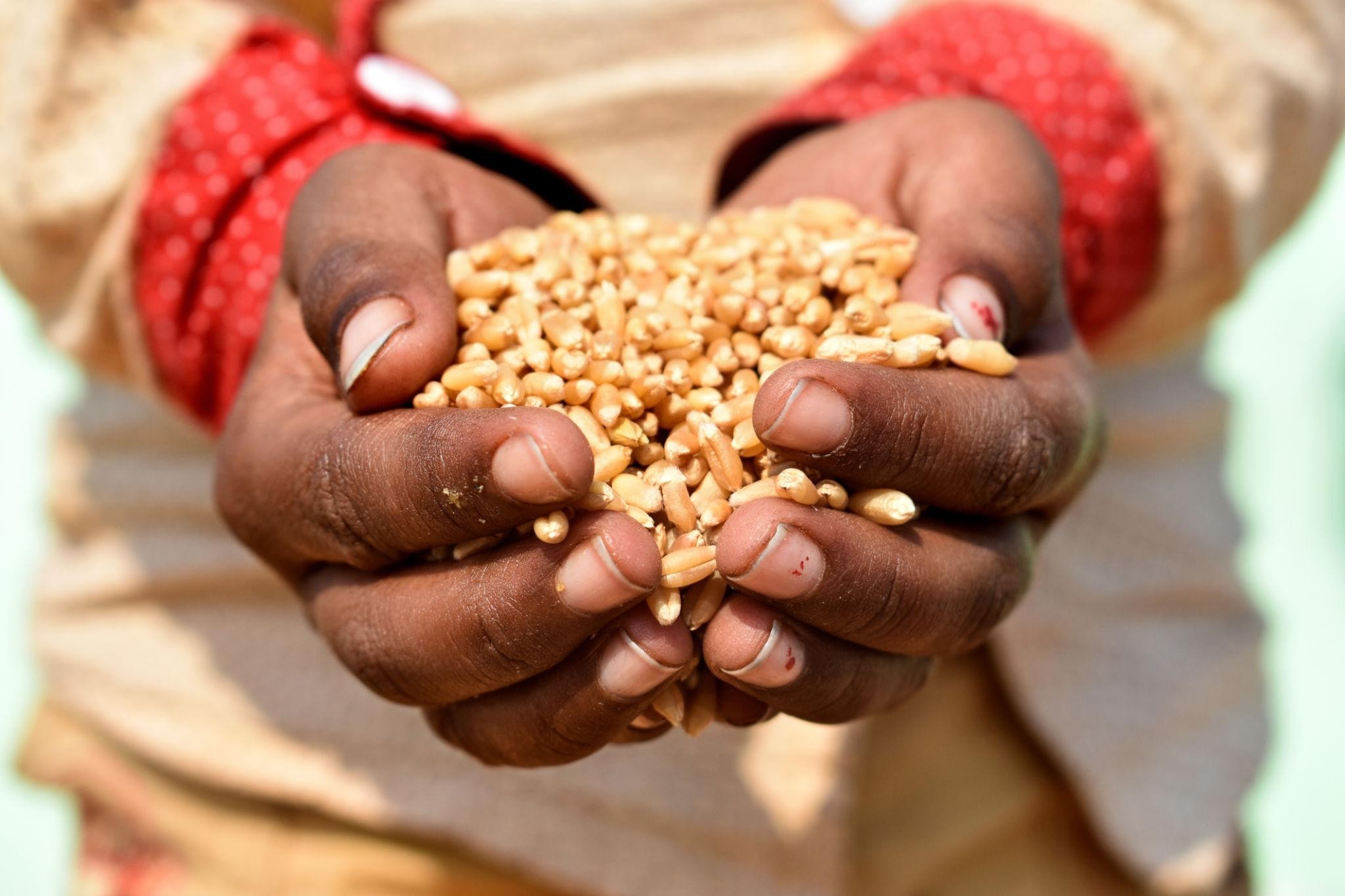 TRIONS Seeds featured in Business Today for agricultural innovation